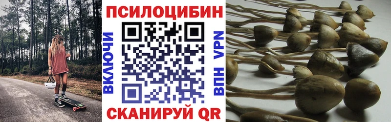 Псилоцибиновые грибы мухоморы как найти наркотики kraken ССЫЛКА Нарткала
