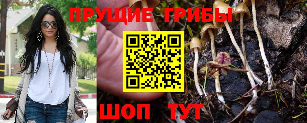 Галлюциногенные грибы мицелий Нарткала