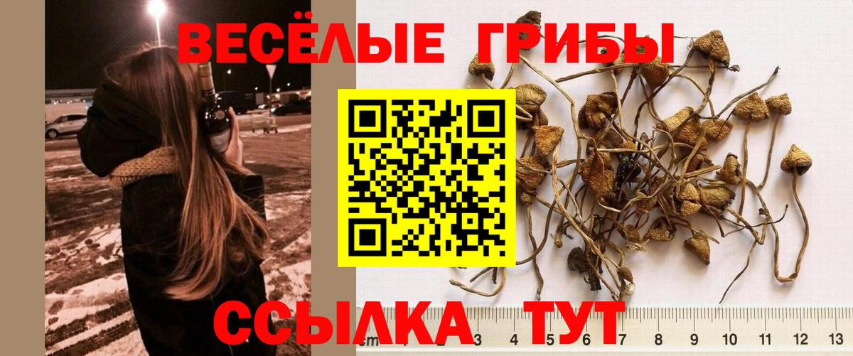 Марихуана Нарткала