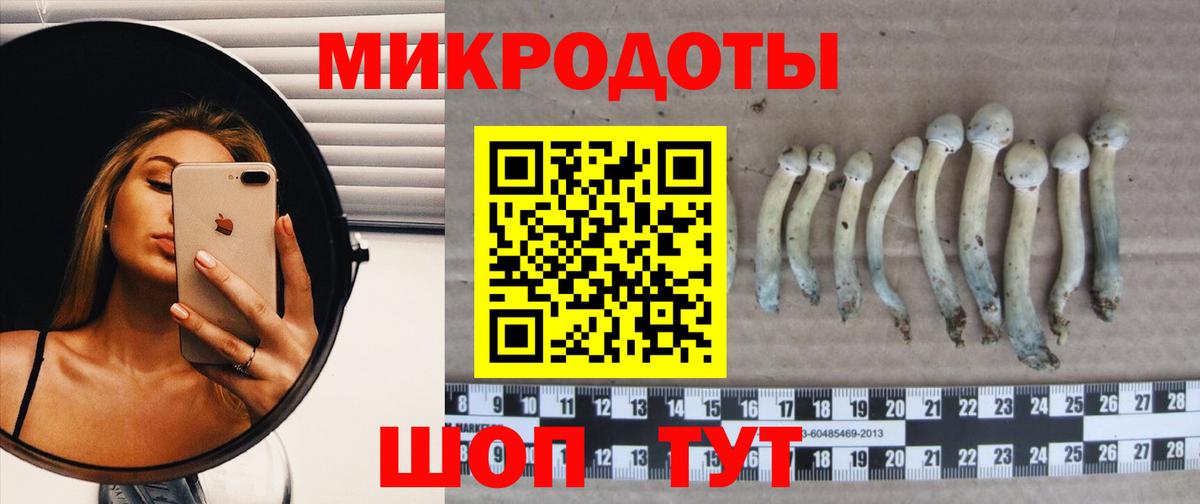 купить наркотик  Вход с VPN  Нарткала  Псилоцибиновые грибы мицелий  Галлюциногенные грибы прущие грибы 